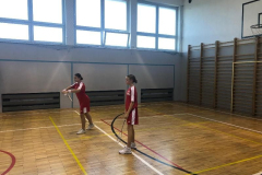 badminton-dz3