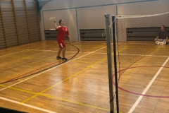 badminton-dz4