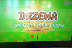 dzien_drzewa7